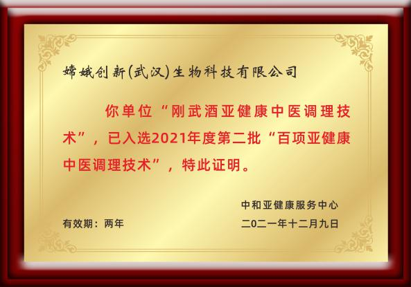 刚武酒奖牌.png
