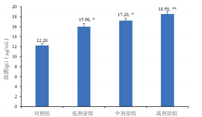 图片12.png