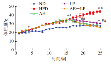 图片13.png