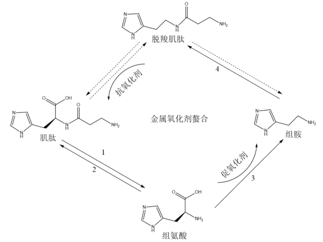 图片 5.png