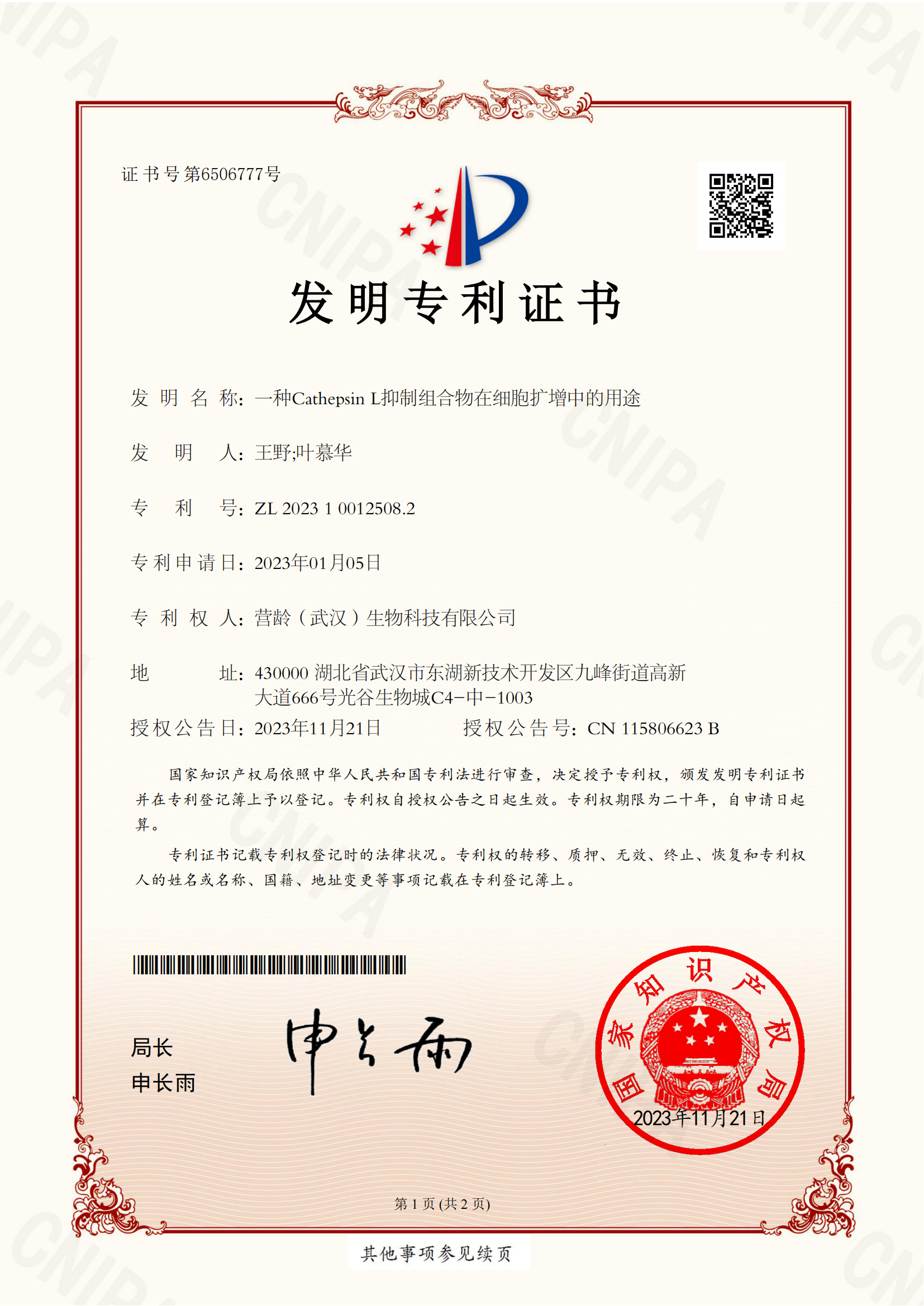 发明专利证书-一种Cathepsin L抑制组合物在细胞扩增中的用途2023100125082(1)_00.png