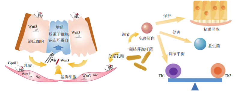 图片15.png