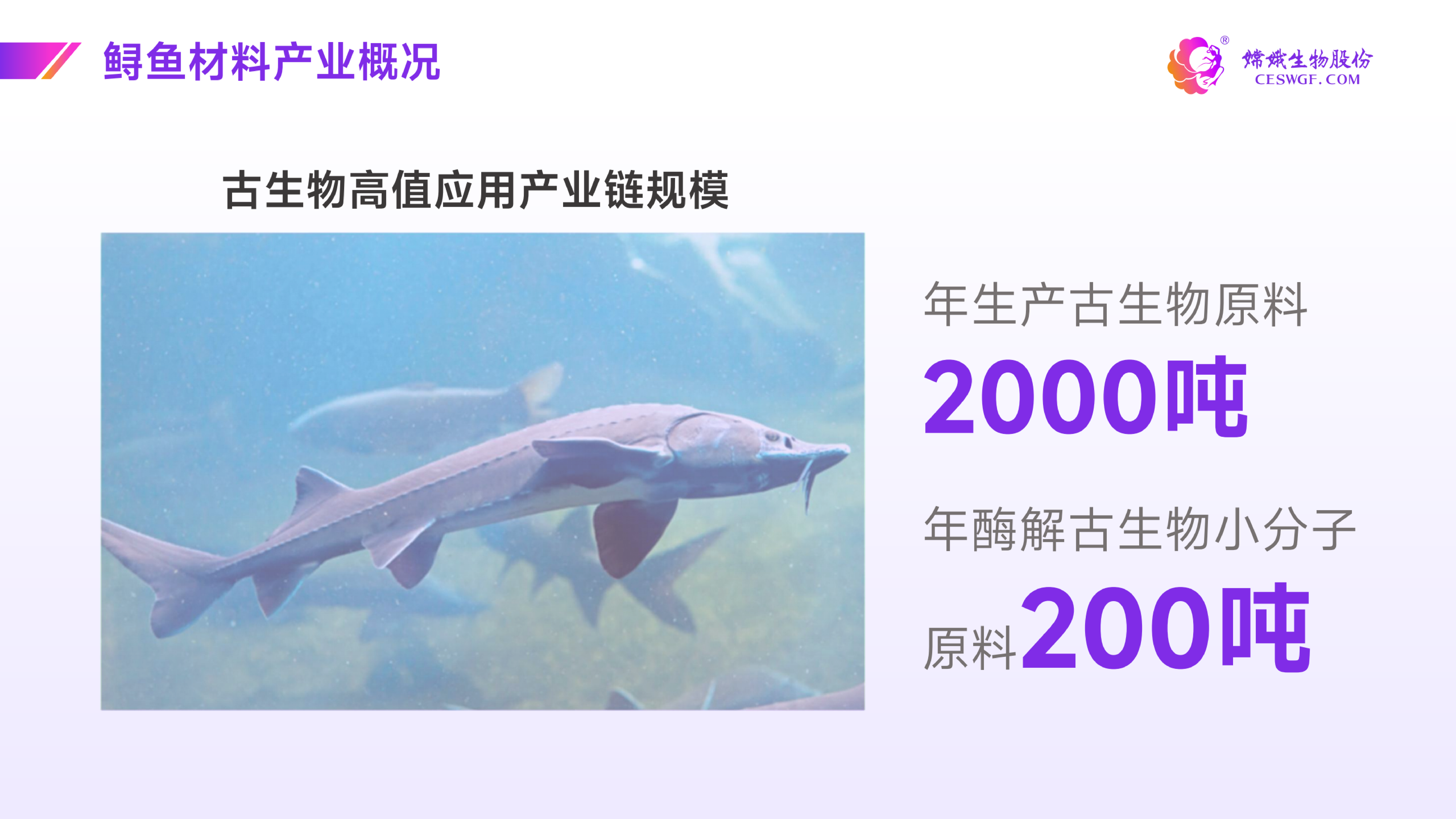 了解嫦娥生物股份-2024.09.24_23.png