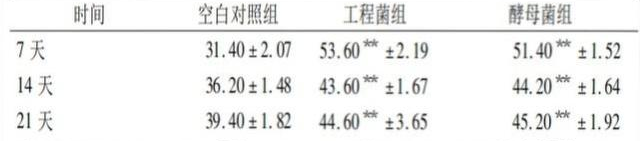 表1.png